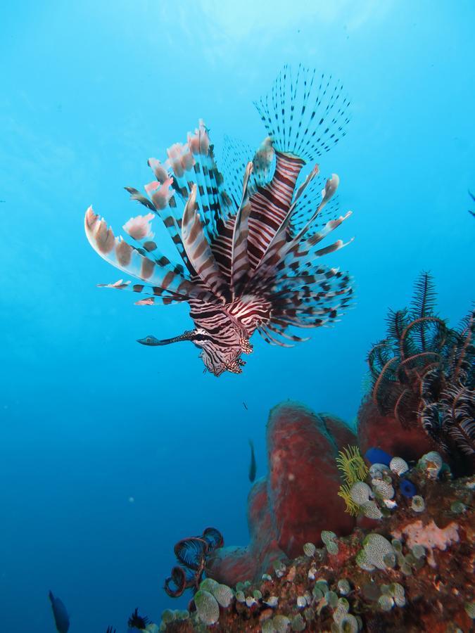 Jukung Dive Resort Bali Amed エクステリア 写真
